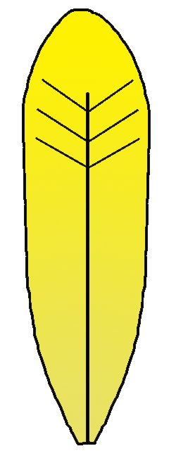 Turkey Feather Clipart – Gclipart.com