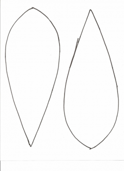 Best Turkey Feather Clip Art #14695 - Clipartion.com