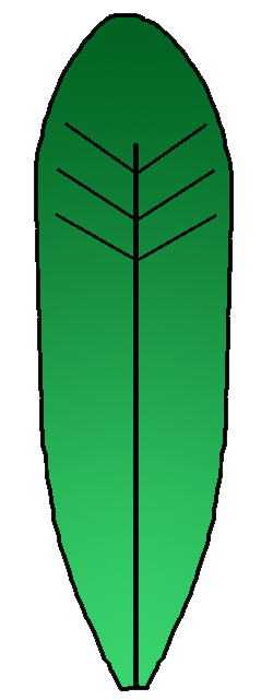 Turkey Feather Clipart | Free download best Turkey Feather ...