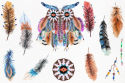 Watercolor feathers clipart: