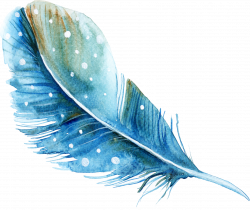 Download Watercolor Feather Painting PNG Image High Quality ...