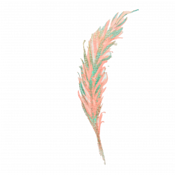 Feathers clipart watercolor, Feathers watercolor Transparent ...