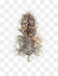 Free download Feather PNG Owl Watercolor Painting Clipart PNG.