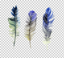 Feather Watercolor painting Illustration, Watercolor feather ...