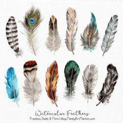 Watercolor Feathers Clipart - Watercolour Feathers, Hand ...