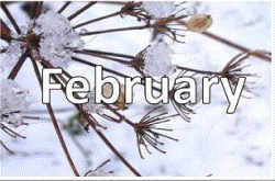 Free February Clipart