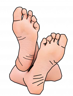 Bare Feet Clip Art | Feetsies image | Clip art, Online art ...