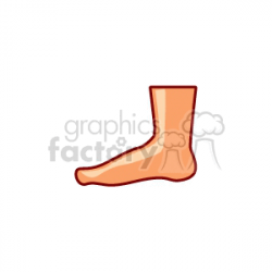 cartoon foot clipart. Royalty-free clipart # 154241
