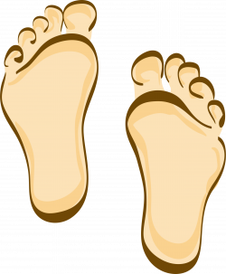 Feet clipart transparent, Feet transparent Transparent FREE ...