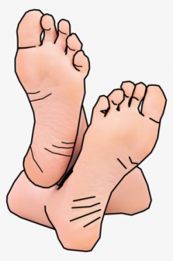 Feet PNG, Transparent Feet PNG Image Free Download - PNGkey