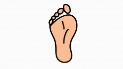 foot hand drawn color animation with transparent background