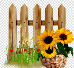 Yellow sunflowers on brown wicker basket, Fence Gate Flower ...