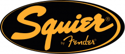 Squier_logo in 2019 | Guitar logo, Squier guitars, Fender ...