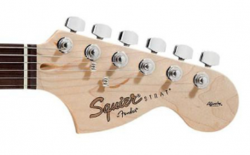 Gold Squier logo ID | Squier-Talk Forum