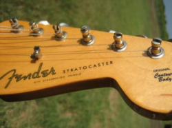 Different colored Fender Logo | Fender Stratocaster Guitar Forum