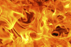 Download Real Fire Transparent Background - Free Transparent ...
