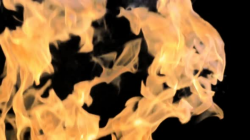Real Fire Flames on Transparent Background