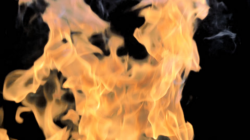 Real fire flames on transparent background ~ Hi Res #87233961