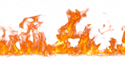 real fire png Transparent Background Image for Free Download ...
