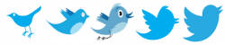 The evolution of the social media icon | iMore