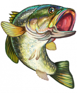 Free Bass Fish Cliparts, Download Free Clip Art, Free Clip Art on ...