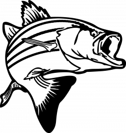 Jumping Bass Fish Clip Art | Clipart Panda - Free Clipart Images ...