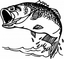 Free Bass Fish Cliparts, Download Free Clip Art, Free Clip Art on ...