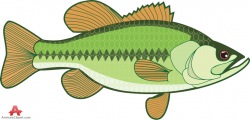 Free Bass Fish Cliparts, Download Free Clip Art, Free Clip Art on ...