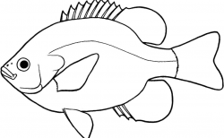 Lovely of fish clipart black and white letter master outline 5 jpeg ...