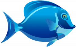 Blue Fish PNG Clipart - Best WEB Clipart