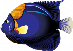 Real Ocean Fish Clipart - Clip Art Library