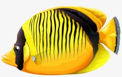 Gold Fish Clipart Realistic Fish - Fish Png Clipart Transparent PNG ...