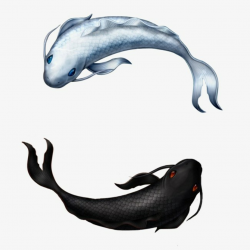 Realistic fish clipart 4 » Clipart Portal