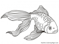 Free Cartoon Fish Clipart | Free Images at Clker.com - vector clip ...