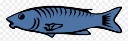 Salmon Fish Clip Art Free Clipart Images - Fish Clip Art Food - Png ...