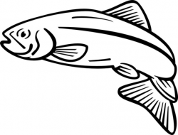 Free Salmon Cliparts, Download Free Clip Art, Free Clip Art on ...