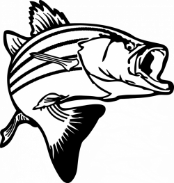Salmon Fish Clip Art | Clipart Panda - Free Clipart Images
