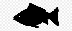 Animal Silhouette - Silhouette Fish Clipart - Png Download (#1699100 ...