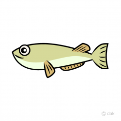 Small Fish Clipart Free Picture｜Illustoon