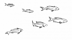 This Free Icons Png Design Of School Of Fish - Small Fish Clipart ...
