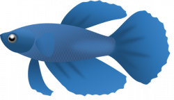 Download Blue Fish PNG Clipart - Free Transparent PNG Images, Icons ...