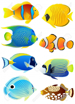 Stock Vector in 2019 | VBS 2016 | Tropical fish pictures, Fish ...