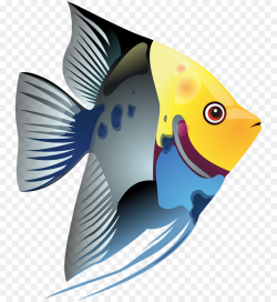 Tropical Fish Fish png download - 800*975 - Free Transparent ...