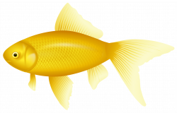 Yellow Fish PNG Clipart - Best WEB Clipart