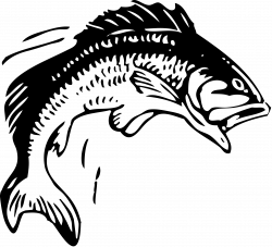 Very Stark B&W | Logo Inspiration | Fish clipart, Fish jumps, Fish ...