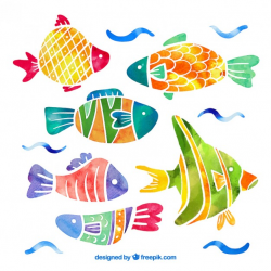 Collection of free Fished clipart watercolor. Download on UI Ex