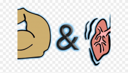 Fitness Clipart Strength And Conditioning - Lungs - Png ...