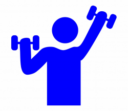 Health And Fitness Gym Weight Lifting Muscle Gym - Clip Art ...