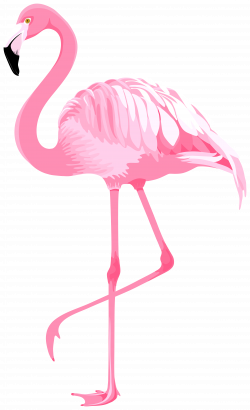 Pink Flamingo PNG Clipart | Gallery Yopriceville - High ...