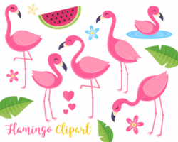 Flamingo Clipart, Tropical Summer Clipart, Birds, Tropical plants